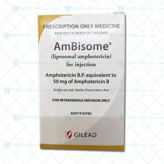 安必素(Ambisome 50mg/10支)迈兰MYlan/Gilead吉利德药厂实拍