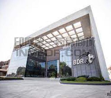 印度BDR制药（BDR Pharmaceu