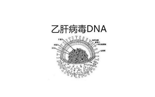 慢性乙肝病毒携带者需要进行抗病毒治疗吗？药厂实拍