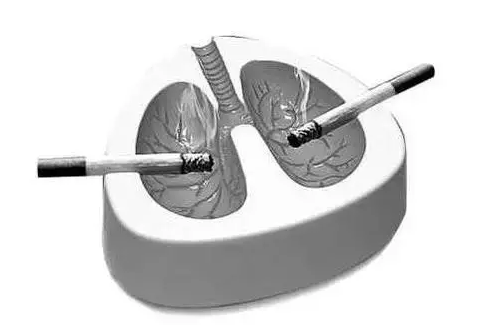<b>吸烟与肺癌有多大关系？</b>药厂实拍