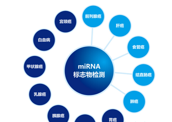 关于,肿瘤,你有,哪些,误区,标志物,高就是,高,