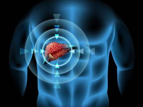 <b>肝癌常用化疗药物有哪些？分子</b>