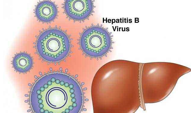 乙肝,五项,中的,表面,抗原,阳性,代表,什么,