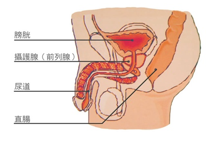 恩杂鲁胺