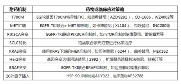 肺癌EGFR/ALK基因突变后用哪些靶向药？