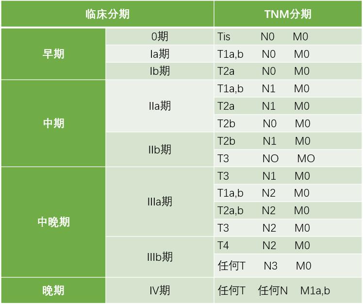 肺癌分型分期具体是指什么？