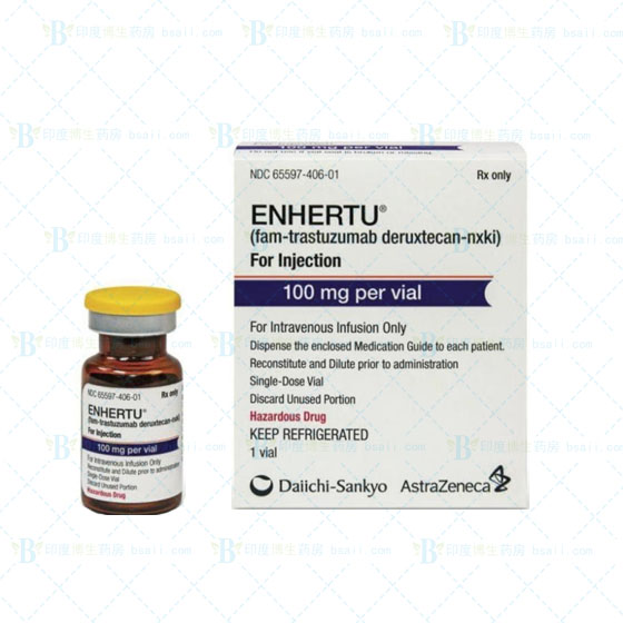 Enhertu（DS-8201）F