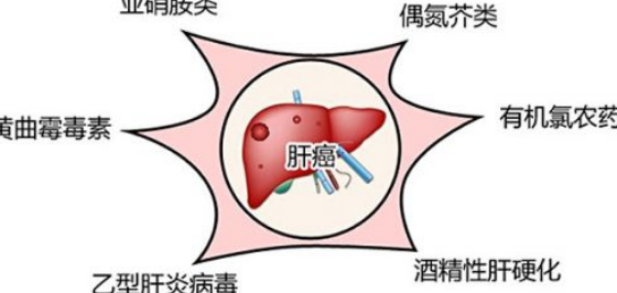 服用瑞戈非尼片的副作用有哪些药厂实拍