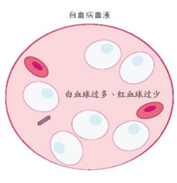 维奈托克一天吃几粒？药厂实拍