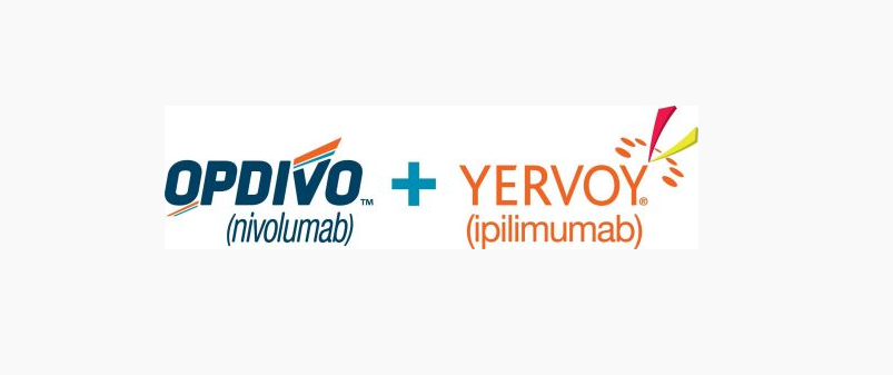 yervoy和opdivo治疗肾癌药厂实拍