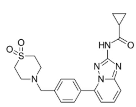 类风湿性关节炎(RA)新药Jyselec