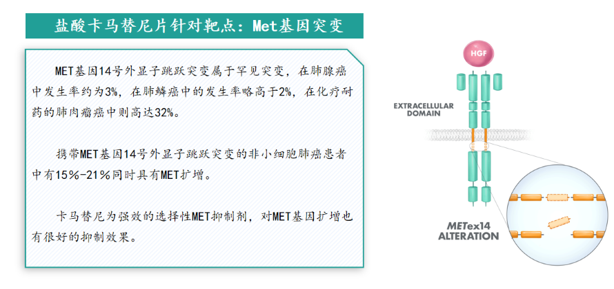 inc280卡马替尼对脑转移有效吗？药厂实拍