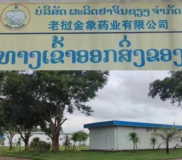 Louang Namtha Pharm老挝南塔金象制药厂防伪教程药厂实拍