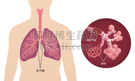 肺癌患者怎么吃更合适？药厂实拍