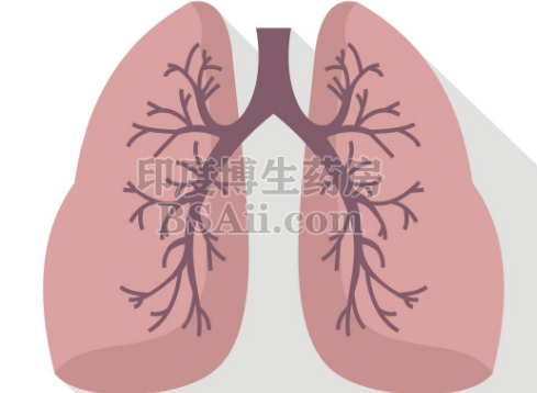 肺癌早期手术后活多久？药厂实拍