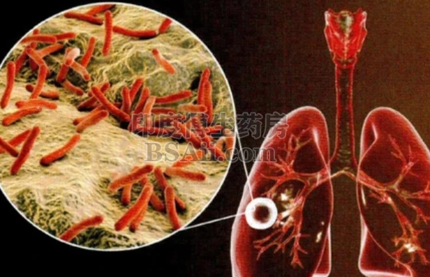 <b>24种用于治疗耐药结核病的抗菌</b>