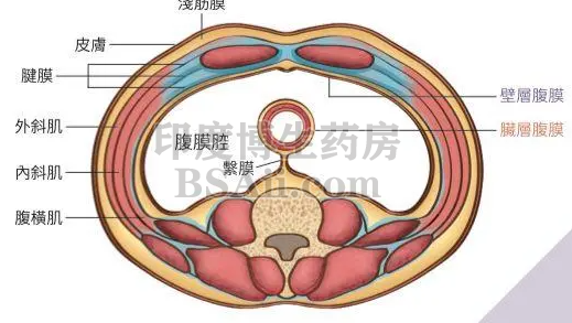 <b>15款治疗腹膜癌(PPC)的化疗药/靶向药/激素药</b>药厂实拍