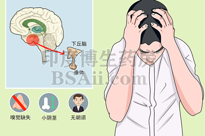 <b>6种治疗卡尔曼综合症(KS)的药物</b>药厂实拍