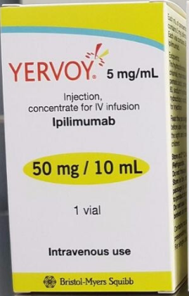 Ipilimumab不能和哪些药物一起使用？